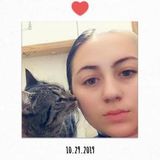 Polite pet Sitter in Carpentersville, Illinois