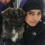 Available: Wonderful Pet Groomer in Wenatchee