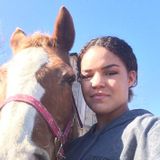 Pet care offered in Lancaster/Rock Hill