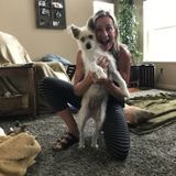 Searching for a Dog Walker/Sitter Opportunity in Savage