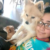 Passionate House Sitting Service Provider in Reedley, California