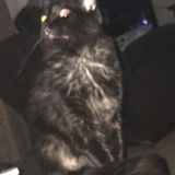 Im 17 years old looking for a side job while i finish school