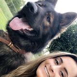 Great Animal Caregiver for Your Home