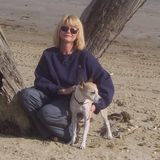 Pet Caregiver