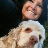 Critter Care Pet Sitting Services Available