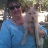 Skillful Cat and Dog Sitting Professional in Ventura