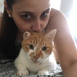 Deerfield Beach, Florida Pet Groomer