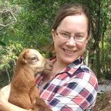 Reliable Sitter in Ft Myers