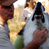 I provide House and Pet sitting services bringng a wealth of experience with regular clients locally and nationally.