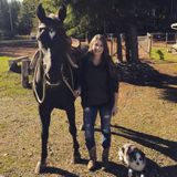 Dog walking and pet care