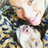 Carmel House Sitter Interested In Being Hired in Indiana