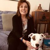 Looking For a Pet Care Opportunity in La Quinta