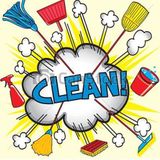 Skilled Cleaner for Your Home