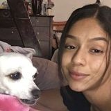 San Fernando Dog Sitting Professional Searching for Job Opportunities