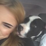 Excellent with Pets & As well as a Passion for Animals!