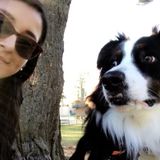 Groomer & Sitter