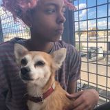Looking For a Petsitter Job in Lancaster, California