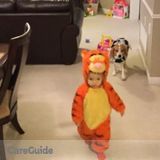 Excellent ECE looking for babysitting