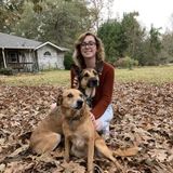 Pet and house sitting in Waxahachie