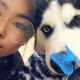 Reliable Pet Walker in Cupertino!