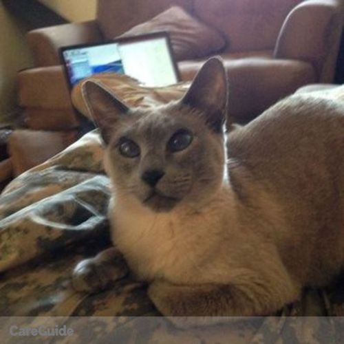 Pet Care Job Diana White's Profile Picture