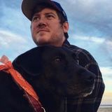 4+ Years of Professional Dog Walking and Cat Sitting