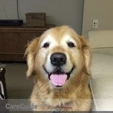 DOG LOVER with over 18 years of experience. I would love to take care of your furry friend!