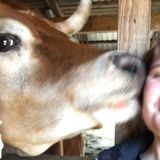 Lover of all animals from soft and cuddly to slimy and scaly
