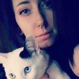 Searching for Porterville Dog Walker Opportunity or Dog/Cat sitting