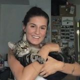 Open availability, caring house sitter available!