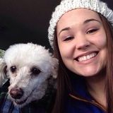 Reliable pet caregiver