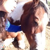 Experienced and Loving Pet Sitter located in Temecula