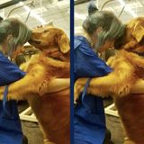 Responsible and loving pet groomer/ sitter been working with animals for the past 7 years.