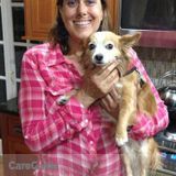 Vacation for your pet