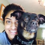 Hi everyone! I am looking for pet care job in Ames, Iowa.