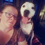 Caring House Sitting Service Provider