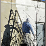 Experienced painter, takes pride in his reliable, honest,indoor and outdoor jobs, friendly and courteous . Free estimates!