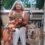 Keansburg Pet Carer Seeking Job Opportunities