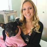 Professional Dog Friend! Looking For a Pet Care Provider Job in Newport Beach
