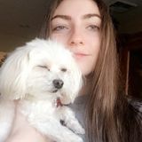 Dog Walker/Dog sitter!