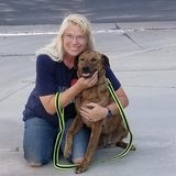 For Hire: Hardworking Petsitter and/or Dog Walker with 30 years of experience in Lake Elsinore