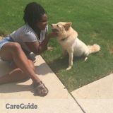 Breiana's Reigning Cats and Dogs