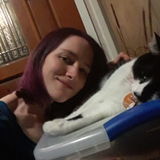 Experienced animal caregiver and pet lover looking to take care of your furry friends.