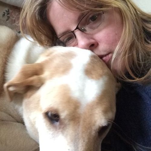 House Sitter Provider Dacey D's Profile Picture