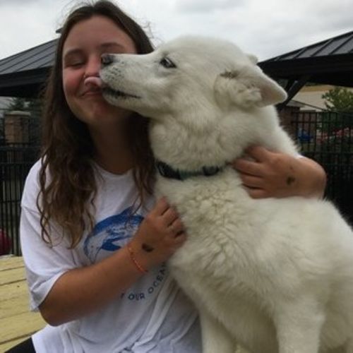 Pet Care Provider Audrey S's Profile Picture