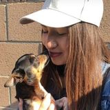 Animal-loving individual eager to meet and care for the pets in your life!