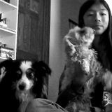My Goal is to care for your animal, love them as much as I love pasta