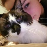 Any pets, any time