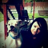 Albuquerque Pet Sitting, Walking & More