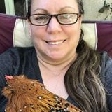 Taking Care of Your Family Pets When You Need To Be Away